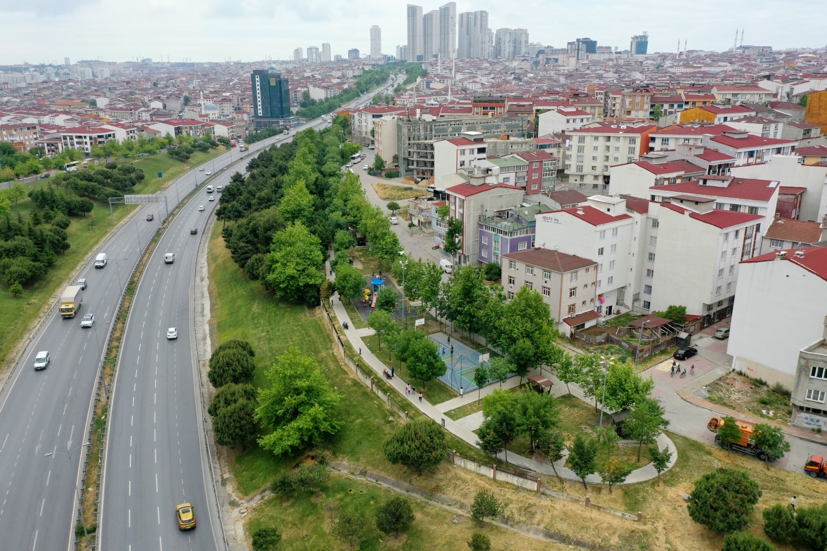 PETUNYA PARKI